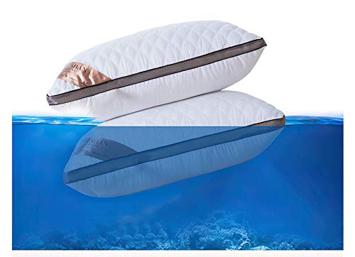 QUANHAO Almohada de Plumas, 100% algodón y algodón. Empaque 2 Almohadas de plumón de Ganso Blanco. Almohada Suave Inflable Natural de Calidad hotelera (2 Piezas Blanco, 42x70cm)