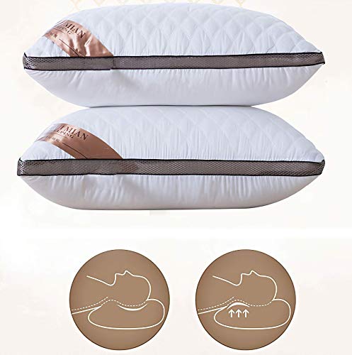 QUANHAO Almohada de Plumas, 100% algodón y algodón. Empaque 2 Almohadas de plumón de Ganso Blanco. Almohada Suave Inflable Natural de Calidad hotelera (2 Piezas Blanco, 42x70cm)