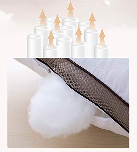 QUANHAO Almohada de Plumas, 100% algodón y algodón. Empaque 2 Almohadas de plumón de Ganso Blanco. Almohada Suave Inflable Natural de Calidad hotelera (2 Piezas Blanco, 42x70cm) QUANHAO Almohada de Plumas, 100% algodón y algodón. Empaque 2 Almohadas de plumón de Ganso Blanco. Almohada Suave Inflable Natural de Calidad hotelera (2 Piezas Blanco, 42x70cm)