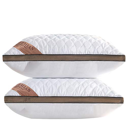 QUANHAO Almohada de Plumas, 100% algodón y algodón. Empaque 2 Almohadas de plumón de Ganso Blanco. Almohada Suave Inflable Natural de Calidad hotelera (2 Piezas Blanco, 42x70cm)