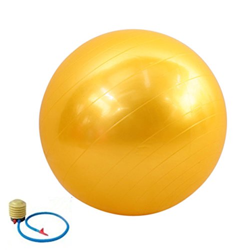 QUBABOBO Pelota de Yoga PVC Anti-ráfaga Ejercicio Fitness Workout Pilates Core Estabilidad Balance Bola de Suiza - Fuerza extra Gruesa de Balón Duradera + bomba de pie