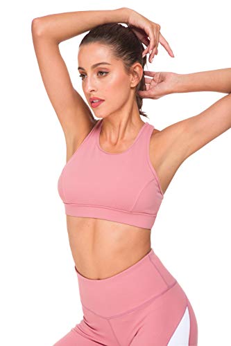 QUEENIEKE Sujetador Deportivo de Tirantes con Espalda Media con Tiras y Bolsillo Trasero para Mujer Color Rosa Begonia Tamaño XL QUEENIEKE Sujetador Deportivo de Tirantes con Espalda Media con Tiras y Bolsillo Trasero para Mujer Color Rosa Begonia Tamaño XL