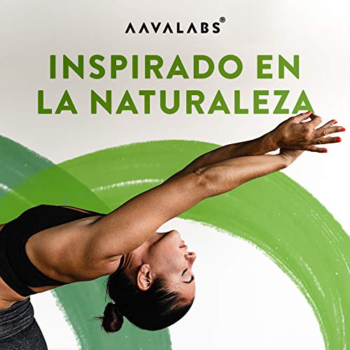 Quemagrasas - Apoya a la pérdida de peso + Acelera el Metabolismo - Termogénico natural con Té Verde, Extracto de Café Verde y Garcinia Cambogia - 95% Polifenoles - 90 Cápsulas. Quemagrasas - Apoya a la pérdida de peso + Acelera el Metabolismo - Termogénico natural con Té Verde, Extracto de Café Verde y Garcinia Cambogia - 95% Polifenoles - 90 Cápsulas.