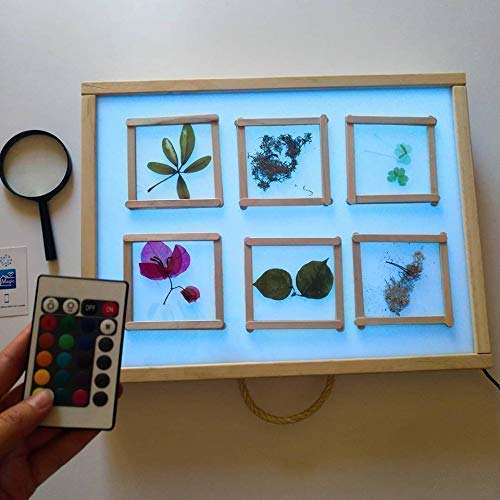 R-Crea - Mesa de luz Montessori RGB 48x37x7 Color Natural - Certificadas por la Universidad de Murcia R-Crea - Mesa de luz Montessori RGB 48x37x7 Color Natural - Certificadas por la Universidad de Murcia