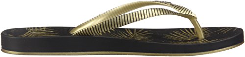 Raider Chanclas Ipanema Anat Nature, Zapatos de Playa y Piscina Unisex Adulto, Multicolor Ip82279/21117, 38 EU Raider Chanclas Ipanema Anat Nature, Zapatos de Playa y Piscina Unisex Adulto, Multicolor Ip82279/21117, 38 EU