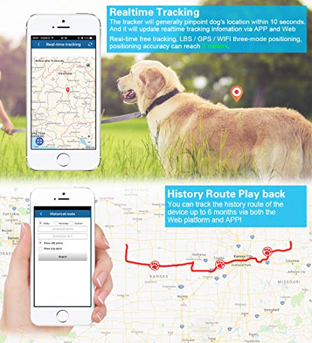 Rastreador GPS para niños, perro, gato, Winnes GPS localizador para animales de compañía, mini rastreador GPS Locator antipérdida, impermeable, rastreador para mascotas de compañía, perro o gato.