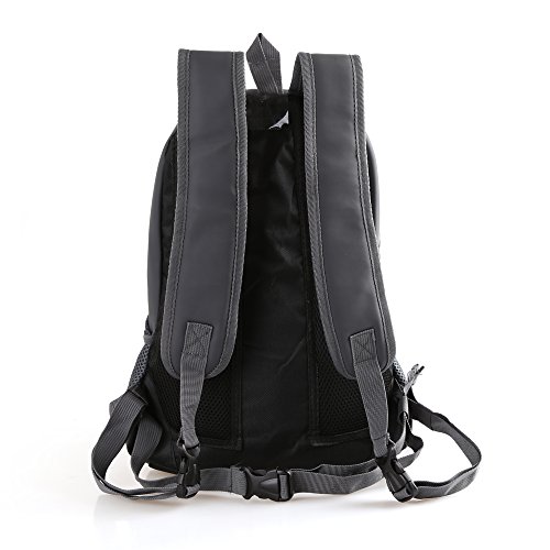 RC GearPro Mochila portátil para Mascotas, diseño de Cabeza hacia afuera, Ajustable, para Gato, Perro, Viaje, Bolso de Hombro Delantero, fácil de Ajustar para Viajar, Caminar, Acampar (L, Verde) RC GearPro Mochila portátil para Mascotas, diseño de Cabeza hacia afuera, Ajustable, para Gato, Perro, Viaje, Bolso de Hombro Delantero, fácil de Ajustar para Viajar, Caminar, Acampar (L, Verde)