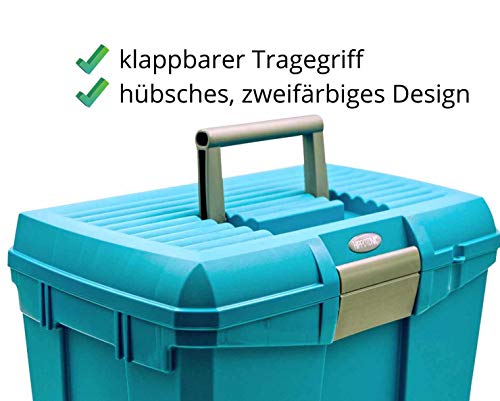 Reitsport Amesbichler Caja de limpieza Norton, color turquesa/gris Reitsport Amesbichler Caja de limpieza Norton, color turquesa/gris