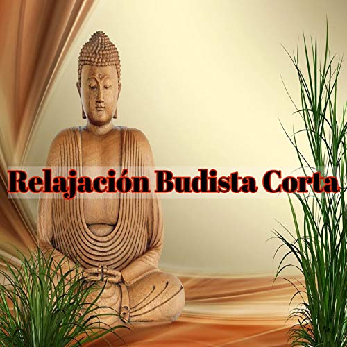 Relajación Busdista Corta Relajación Busdista Corta