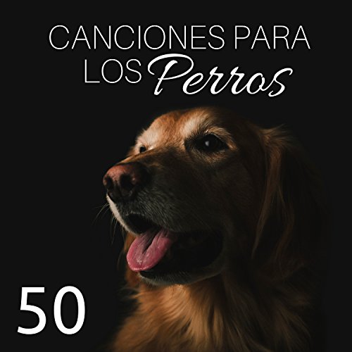 Relajación Yoga Nidra