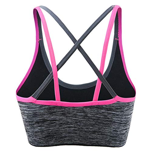 Reooly Femenina Comprar Sujetadores Online Gym Sujetador Sujetador Tirante Fino litthing Sujetador de Sujetador Cajas Sujetadores Lenceria Mujer Online Tienda Online Ropa Interior Femenina Conjuntos Reooly Femenina Comprar Sujetadores Online Gym Sujetador Sujetador Tirante Fino litthing Sujetador de Sujetador Cajas Sujetadores Lenceria Mujer Online Tienda Online Ropa Interior Femenina Conjuntos