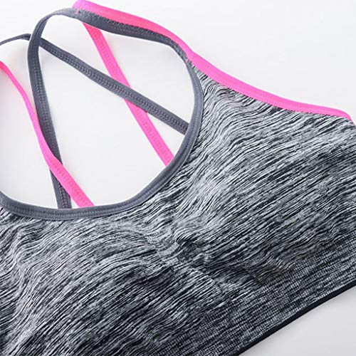 Reooly Femenina Comprar Sujetadores Online Gym Sujetador Sujetador Tirante Fino litthing Sujetador de Sujetador Cajas Sujetadores Lenceria Mujer Online Tienda Online Ropa Interior Femenina Conjuntos Reooly Femenina Comprar Sujetadores Online Gym Sujetador Sujetador Tirante Fino litthing Sujetador de Sujetador Cajas Sujetadores Lenceria Mujer Online Tienda Online Ropa Interior Femenina Conjuntos