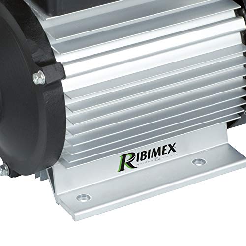 Ribitech 2730 - De motor 3 hp 2750 rev/min 2200 w Ribitech 2730 - De motor 3 hp 2750 rev/min 2200 w