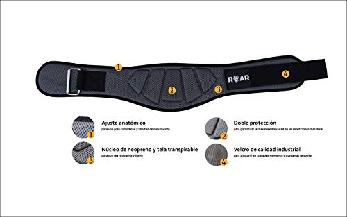 Roar® Cinturón musculación para Entrenamiento de Levantamiento de Peso Crossfit Powerlifting Halterofilia Pesas Gimnasio (Gris, L)