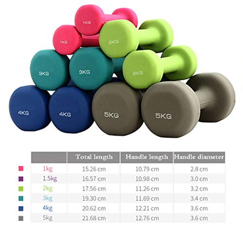 RONG SPORT Dumbbell Lady Entrenamiento anaeróbico Dos Piezas, Pesas de Mano Gimnasio Rehabilitación Fuerza para Usar en Yoga/Pilates/Aeróbicos Recubierto de Neopreno,A,1KG