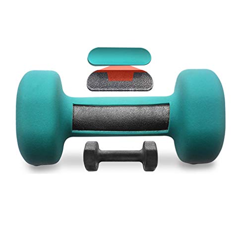 RONG SPORT Dumbbell Lady Entrenamiento anaeróbico Dos Piezas, Pesas de Mano Gimnasio Rehabilitación Fuerza para Usar en Yoga/Pilates/Aeróbicos Recubierto de Neopreno,A,1KG