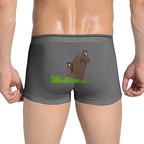 Ropa Interior de Caballo Potro S para Hombre Calzoncillos bóxer de algodón Stretch Low Rise Trunks Deep Heather XXL