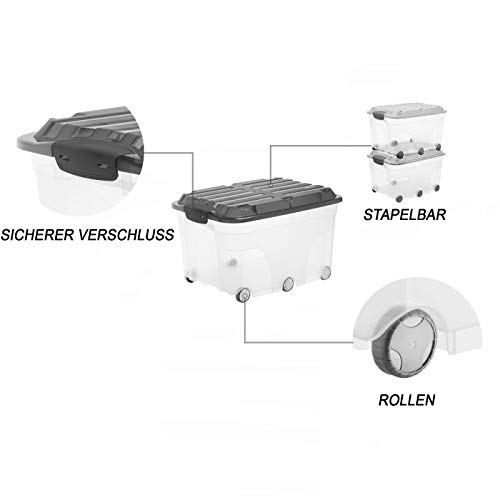 Rotho Roller 6, Caja de almacenaje de 57l con tapa y ruedas, Plástico PP sin BPA, transparente, antracita, 57l 59.5 x 40.0 x 37.0 cm