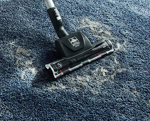 Rowenta Maxi Turbo ZR902201 - Cepillo para aspiradora, Elimina el Pelo de Mascotas y el Polvo en alfombras y moquetas Rowenta Maxi Turbo ZR902201 - Cepillo para aspiradora, Elimina el Pelo de Mascotas y el Polvo en alfombras y moquetas
