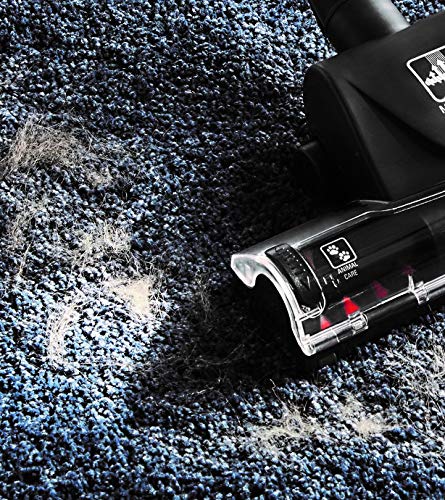 Rowenta Maxi Turbo ZR902201 - Cepillo para aspiradora, Elimina el Pelo de Mascotas y el Polvo en alfombras y moquetas Rowenta Maxi Turbo ZR902201 - Cepillo para aspiradora, Elimina el Pelo de Mascotas y el Polvo en alfombras y moquetas