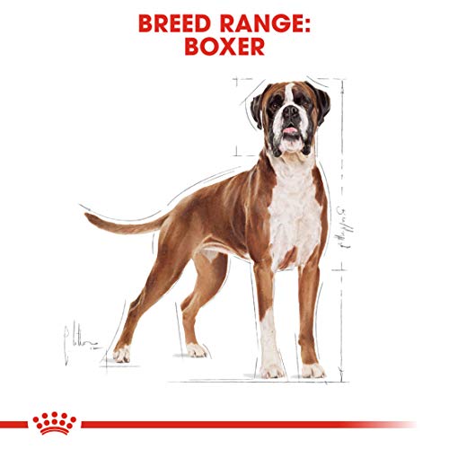 Royal Canin C-08930 S.H. Nut Boxer 26 - 12 Kg