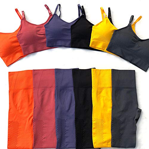 RRUI Medias para Mujer Medias de Mujer Pantalones de Ejercicios Abdominales Medias Huecas de Entrenamiento Pantalones Cortos de Cadera de Secado rápido Azul M RRUI Medias para Mujer Medias de Mujer Pantalones de Ejercicios Abdominales Medias Huecas de Entrenamiento Pantalones Cortos de Cadera de Secado rápido Azul M