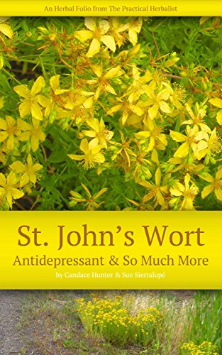 Saint John's Wort: Antidepressant and So Much More (The Practical Herbalist's Herbal Folio Book 7) (English Edition)