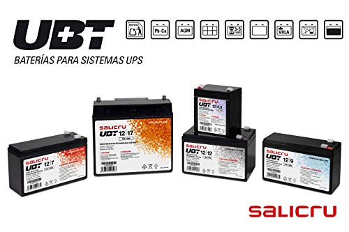 Salicru 013BS000001 - Baterías para sistemas ups, Sealed Lead Acid (VRLA), 7 Ah, 12 V, Color Negro