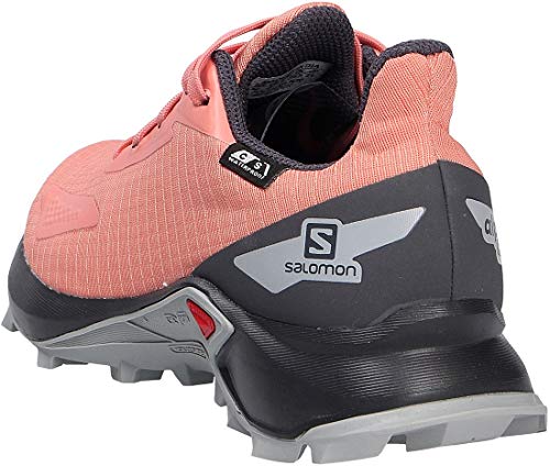 Salomon ALPHACROSS Blast CSWP J, Zapatillas de Trail Running, Rosa (Burnt Coral/Ebony/Quarry), 38 EU