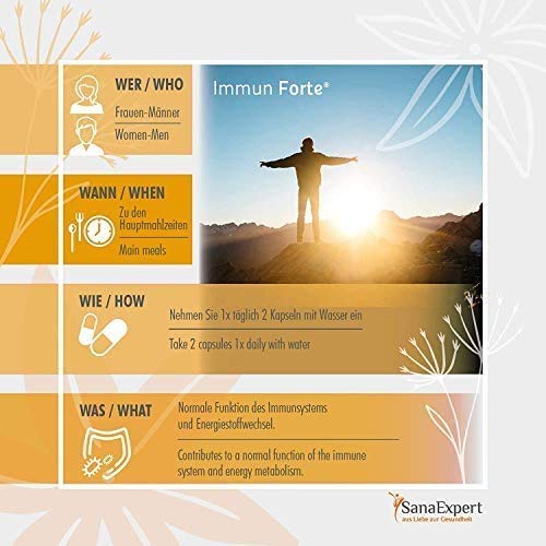 SanaExpert Immun Forte, Suplemento Multivitamínico, Refuerza el Sistema Inmunológico con Omega-3, Zinc, Antioxidantes, Vitaminas y Minerales, 90 Cápsulas SanaExpert Immun Forte, Suplemento Multivitamínico, Refuerza el Sistema Inmunológico con Omega-3, Zinc, Antioxidantes, Vitaminas y Minerales, 90 Cápsulas