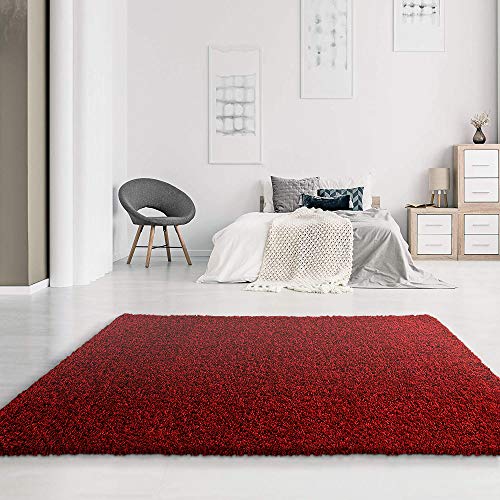 SANAT - Alfombra (Polipropileno, 80 x 150 cm), Color Rojo SANAT - Alfombra (Polipropileno, 80 x 150 cm), Color Rojo
