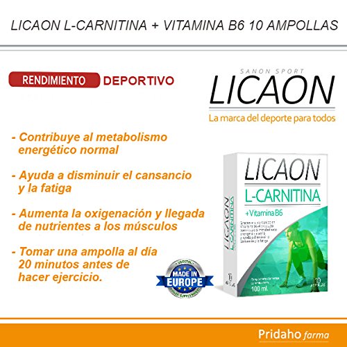 SANON - SANON SPORT LICAON L-Carnitina + Vitamina B6 10 ampollas de 10 ml SANON - SANON SPORT LICAON L-Carnitina + Vitamina B6 10 ampollas de 10 ml