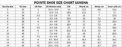 Sansha Recital Pointe Zapato, color Rosa, talla 36 EU
