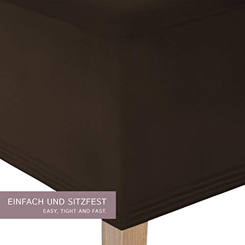 SCHEFFLER-Home Lena 2 Fundas de sillas, Estirable Cubiertas, Moderna extraíble flexibel Funda con Banda elástica, Marrón SCHEFFLER-Home Lena 2 Fundas de sillas, Estirable Cubiertas, Moderna extraíble flexibel Funda con Banda elástica, Marrón