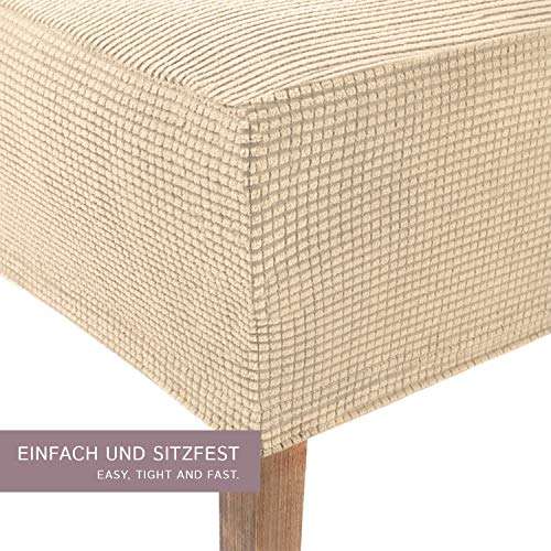 SCHEFFLER-Home Sofia 2 Fundas de sillas, Estirable Cubiertas, Velours extraíble flexibel Funda con Banda elástica, Crema SCHEFFLER-Home Sofia 2 Fundas de sillas, Estirable Cubiertas, Velours extraíble flexibel Funda con Banda elástica, Crema