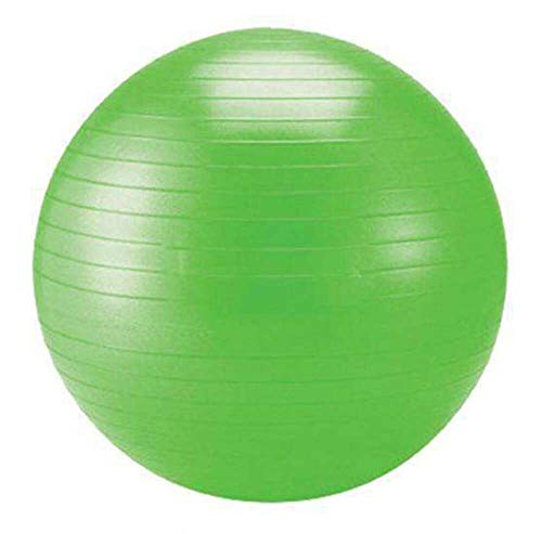 Schildkröt Fitness Pelota de Ejercícios, Incluye Bomba, Libre de Ftalatos, Resistente a la Explosión, Hasta 120 kg, Tamaño 75, 960057