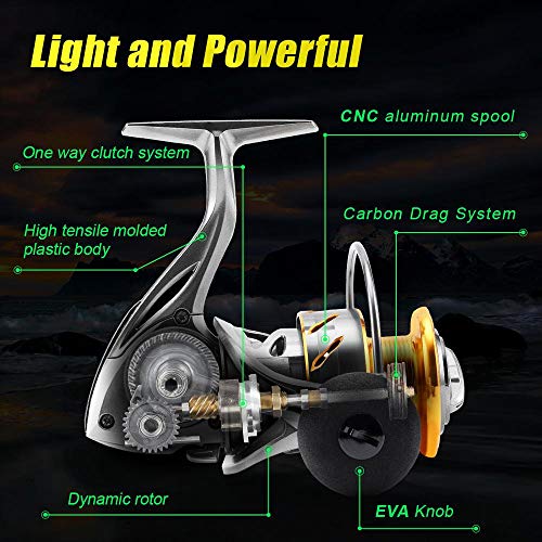 SeaKnight Rapid Anticorrosion carretes de Pesca Spinning de mar para Agua Salada, Resistencia Maxima 15 kg (3000H 6.2:1) SeaKnight Rapid Anticorrosion carretes de Pesca Spinning de mar para Agua Salada, Resistencia Maxima 15 kg (3000H 6.2:1)