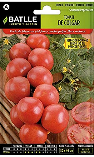 Semillas Hortícolas - Tomate de Colgar - Batlle