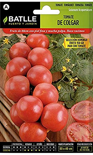 Semillas Hortícolas - Tomate de Colgar - Batlle Semillas Hortícolas - Tomate de Colgar - Batlle