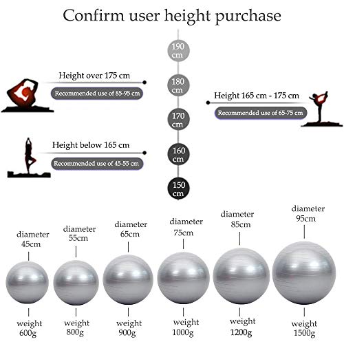 SENDILI Balón de Pilates - Fitness Pelota de Ejercícios Incluye Bomba Resistente a la Explosión para Gimnasia, Fitness, Yoga, Plata-3, 65CM SENDILI Balón de Pilates - Fitness Pelota de Ejercícios Incluye Bomba Resistente a la Explosión para Gimnasia, Fitness, Yoga, Plata-3, 65CM