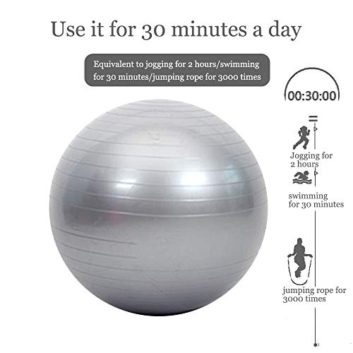 SENDILI Balón de Pilates - Fitness Pelota de Ejercícios Incluye Bomba Resistente a la Explosión para Gimnasia, Fitness, Yoga, Plata-3, 65CM