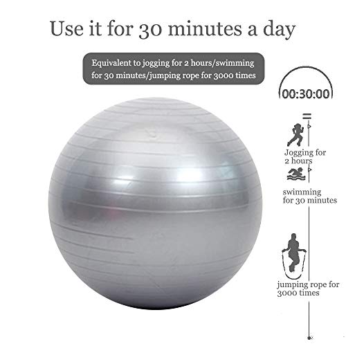 SENDILI Balón de Pilates - Fitness Pelota de Ejercícios Incluye Bomba Resistente a la Explosión para Gimnasia, Fitness, Yoga, Plata-3, 65CM SENDILI Balón de Pilates - Fitness Pelota de Ejercícios Incluye Bomba Resistente a la Explosión para Gimnasia, Fitness, Yoga, Plata-3, 65CM