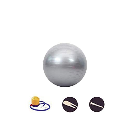 SENDILI Balón de Pilates - Fitness Pelota de Ejercícios Incluye Bomba Resistente a la Explosión para Gimnasia, Fitness, Yoga, Plata-3, 65CM