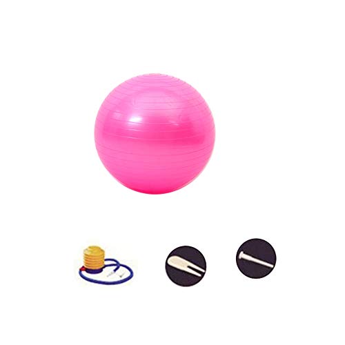 SENDILI Pelota de Yoga - Balon Pelota de Pilates Fit Ball Fitness Ejercicio Gimnasia para Fitness, Yoga, Gimnasia, Rosa-2, 55CM