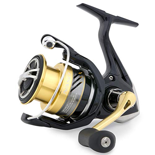 Shimano Nasci C3000 FB, Carrete de Pesca con Freno Delantero, NASC3000FB