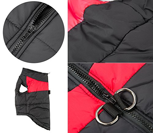 Shinmax - Abrigo impermeable para perro pequeño y cachorro, con forro polar para el calor, protector, para otoño e invierno Shinmax - Abrigo impermeable para perro pequeño y cachorro, con forro polar para el calor, protector, para otoño e invierno