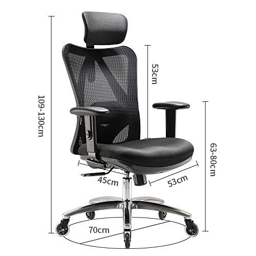 SIHOO Silla Ergonómica de Oficina, Silla de Escritorio con Soporte Lumbar Ajustables, Rollerblade Ruedas, Reposacabezas y Apoyabrazos, Malla Giratoria, Mecanismo de Inclinación, Carga máxima de 150