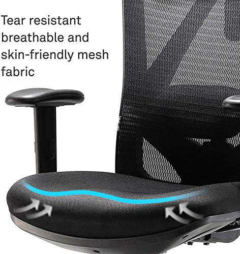 SIHOO Silla Ergonómica de Oficina, Silla de Escritorio con Soporte Lumbar Ajustables, Rollerblade Ruedas, Reposacabezas y Apoyabrazos, Malla Giratoria, Mecanismo de Inclinación, Carga máxima de 150