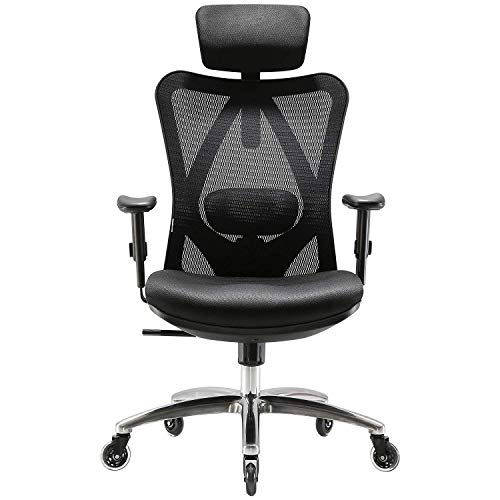 SIHOO Silla Ergonómica de Oficina, Silla de Escritorio con Soporte Lumbar Ajustables, Rollerblade Ruedas, Reposacabezas y Apoyabrazos, Malla Giratoria, Mecanismo de Inclinación, Carga máxima de 150