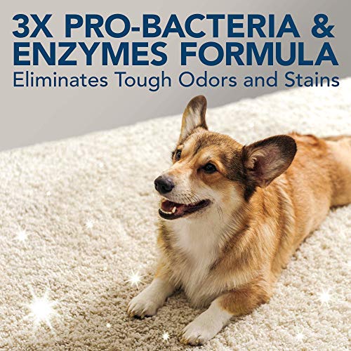 Simple Solution Extreme - Removedor de Manchas y olores para perros, 500 ml Simple Solution Extreme - Removedor de Manchas y olores para perros, 500 ml
